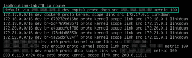 How to check the default routing path on Linux.